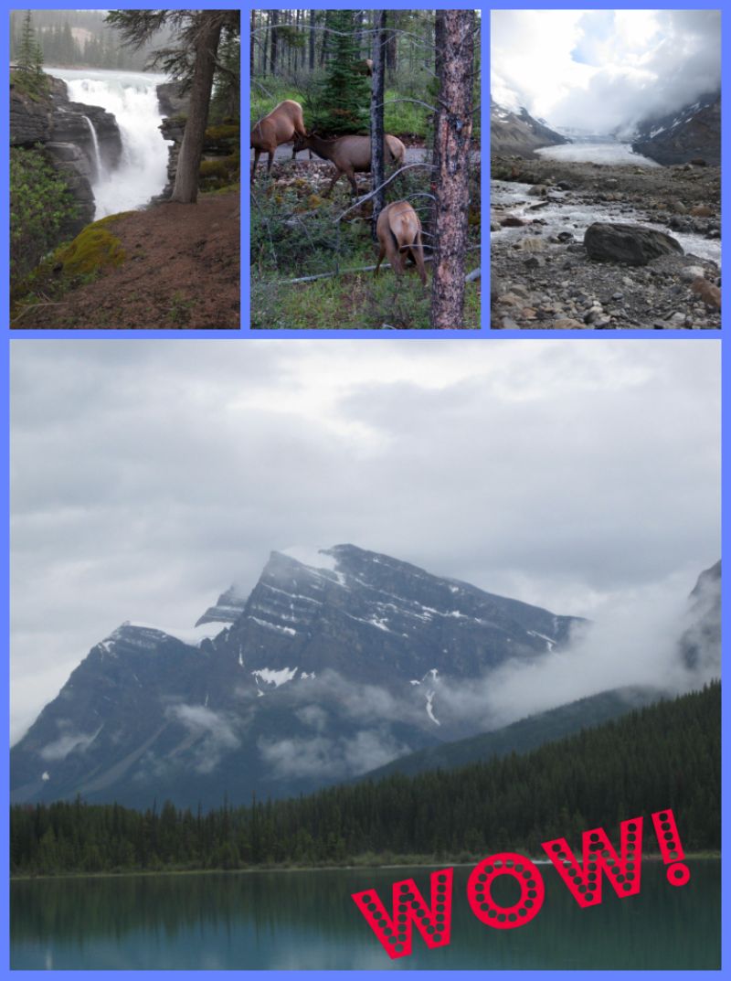 The beauty of Alberta, the mountains, the wildlife, the waterfalls is exquisite and incredible.